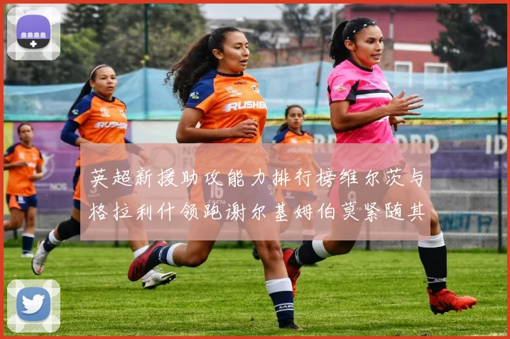 英超新援助攻能力排行榜维尔茨与格拉利什领跑谢尔基姆伯莫紧随其后