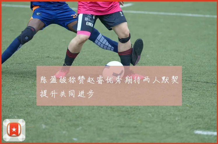 陈盈骏称赞赵睿优秀期待两人默契提升共同进步